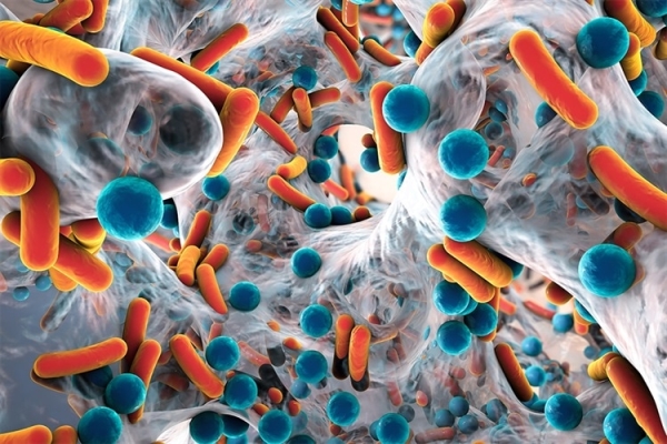 Vải kháng khuẩn - Nano Bạc NANOCMM - CÔNG TY TNHH NANOCMM